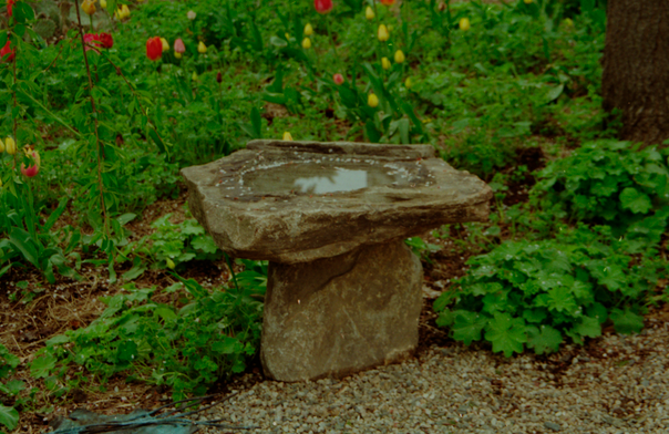 Birdbath