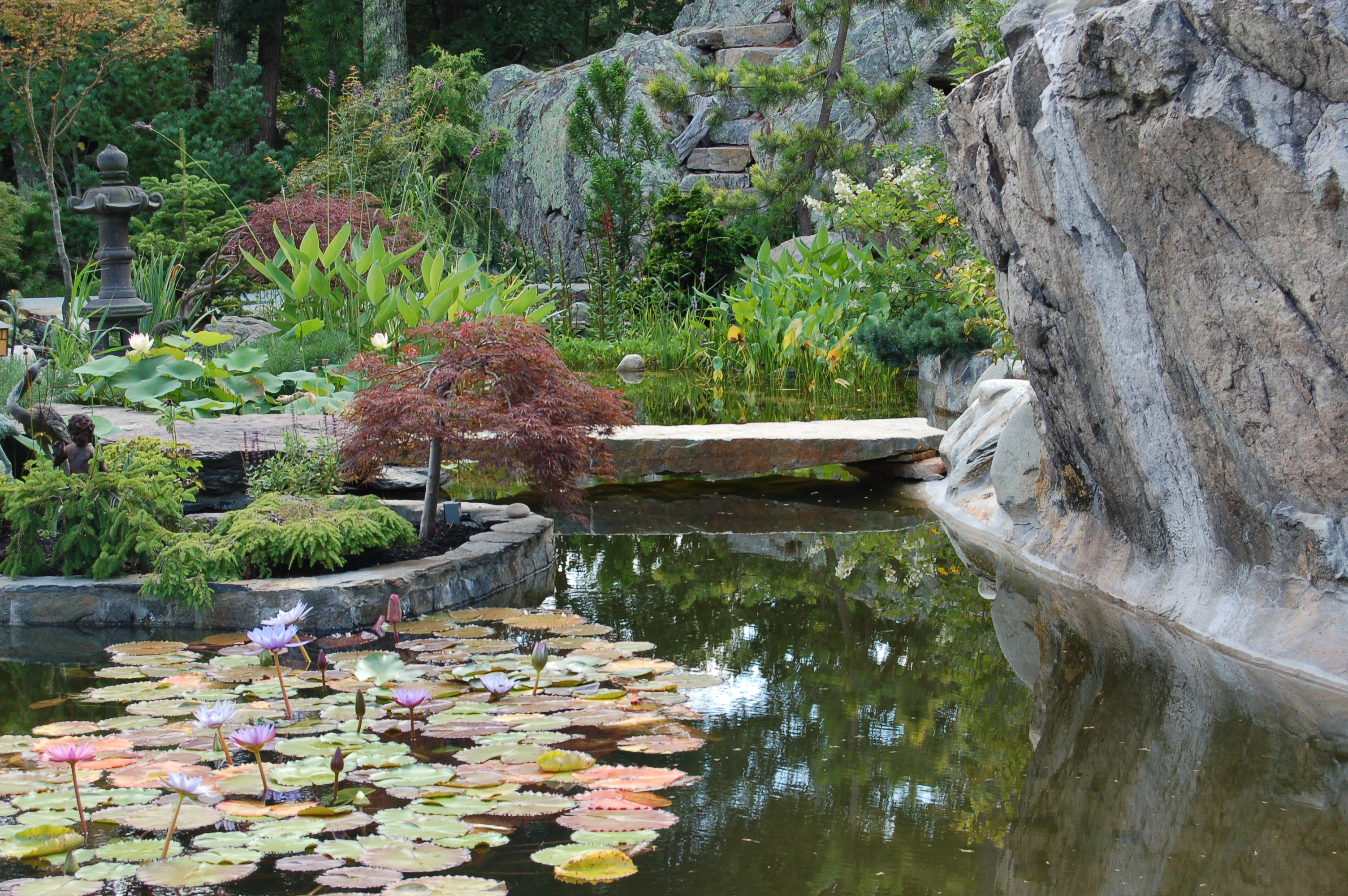 Bridge over pond and landscaped island Pond contractor