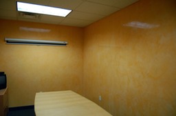 Venetian plaster conference room 2